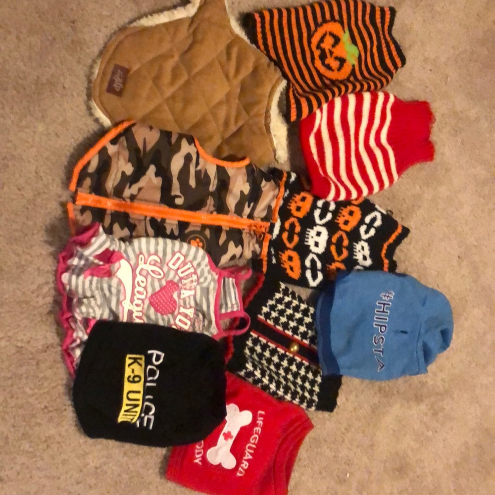Bundle of dog cloths